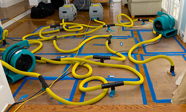 Professional Crawl Space Water Removal technician working in Canton, MA